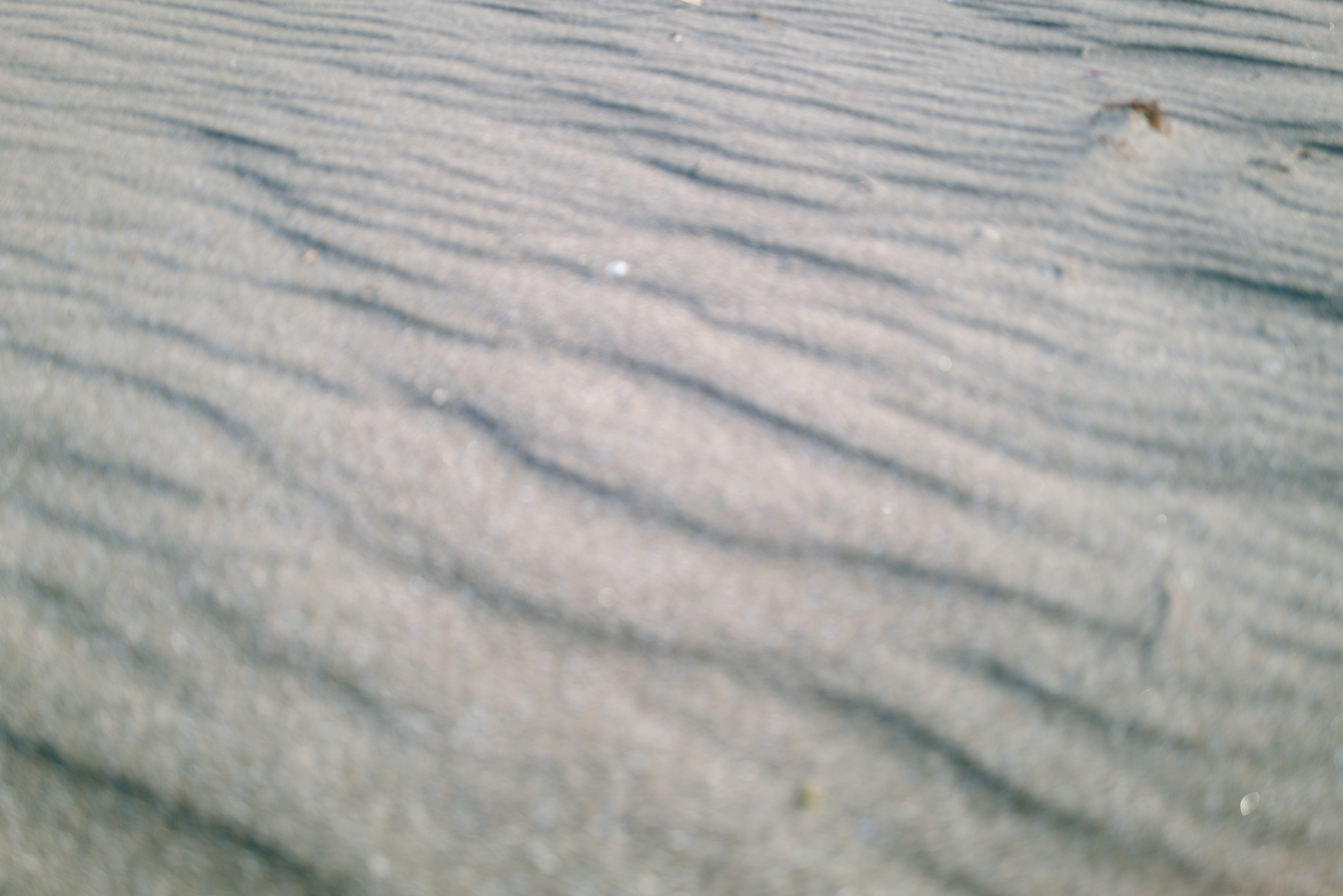 今日からできる！花粉対策ヘアケア5選